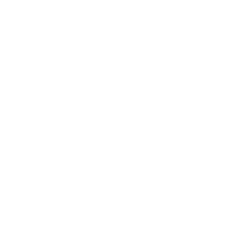 自動バックアップ